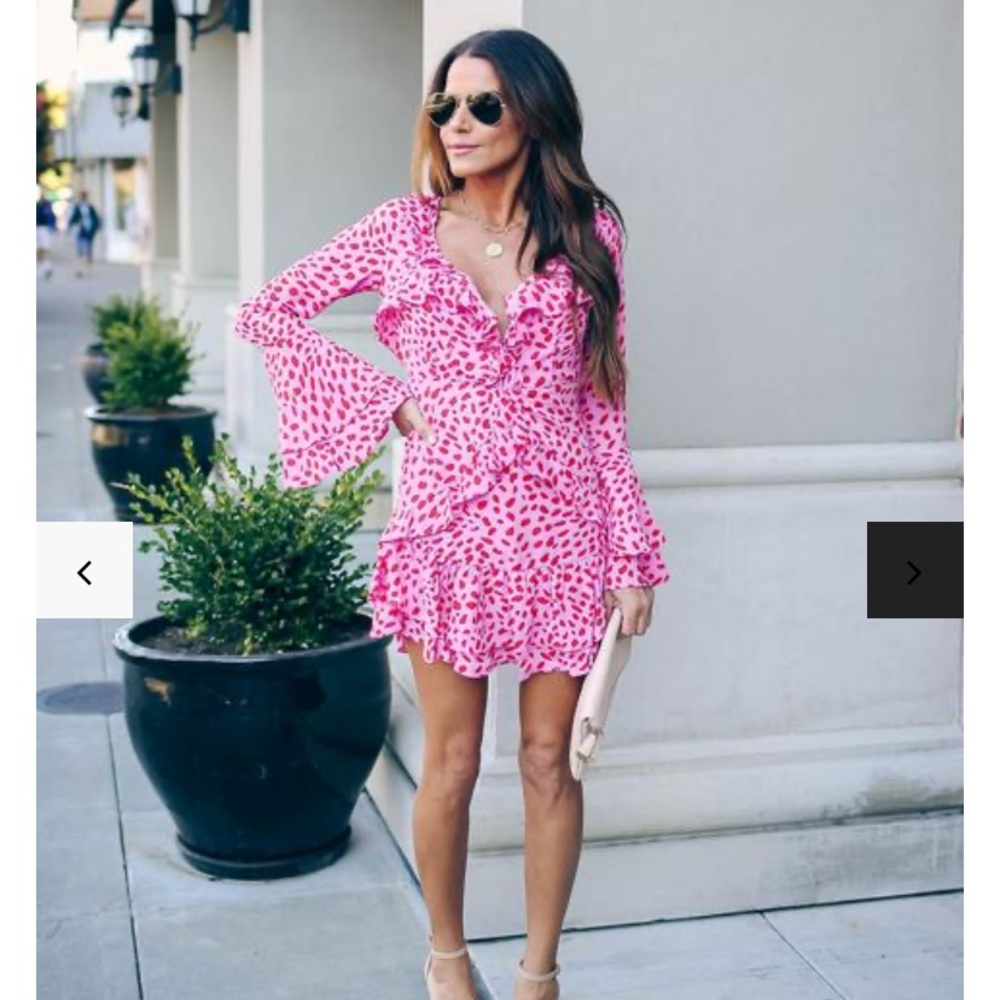 Pink Ruffle Vici Small Dress